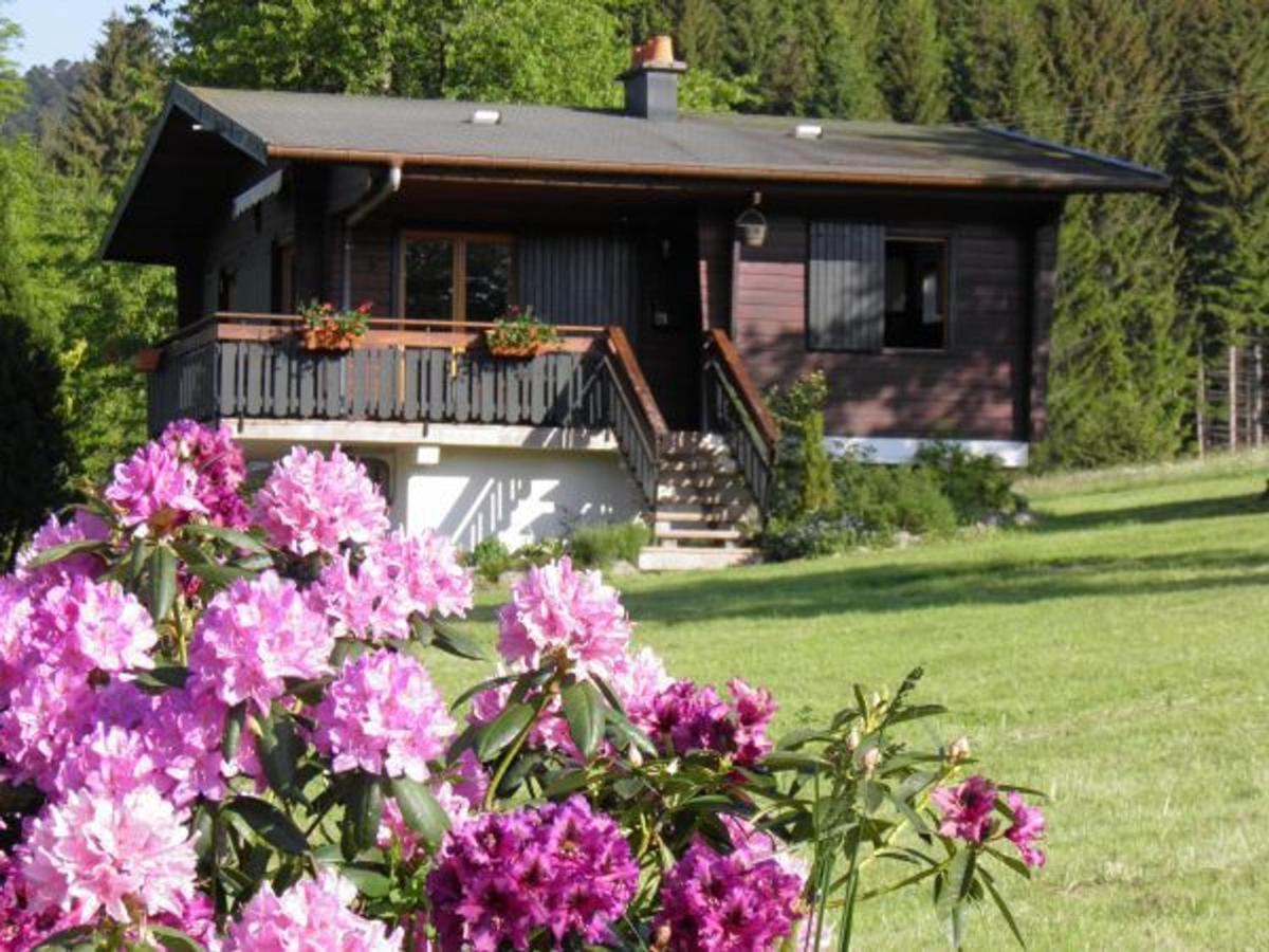Chalet Renove Proche Du Valtin - Ideal Pour Famille, Randonnees Et Ski, Wifi, Luges Fournies - Fr-1-589-150 Ban-sur-Meurthe-Clefcy Экстерьер фото
