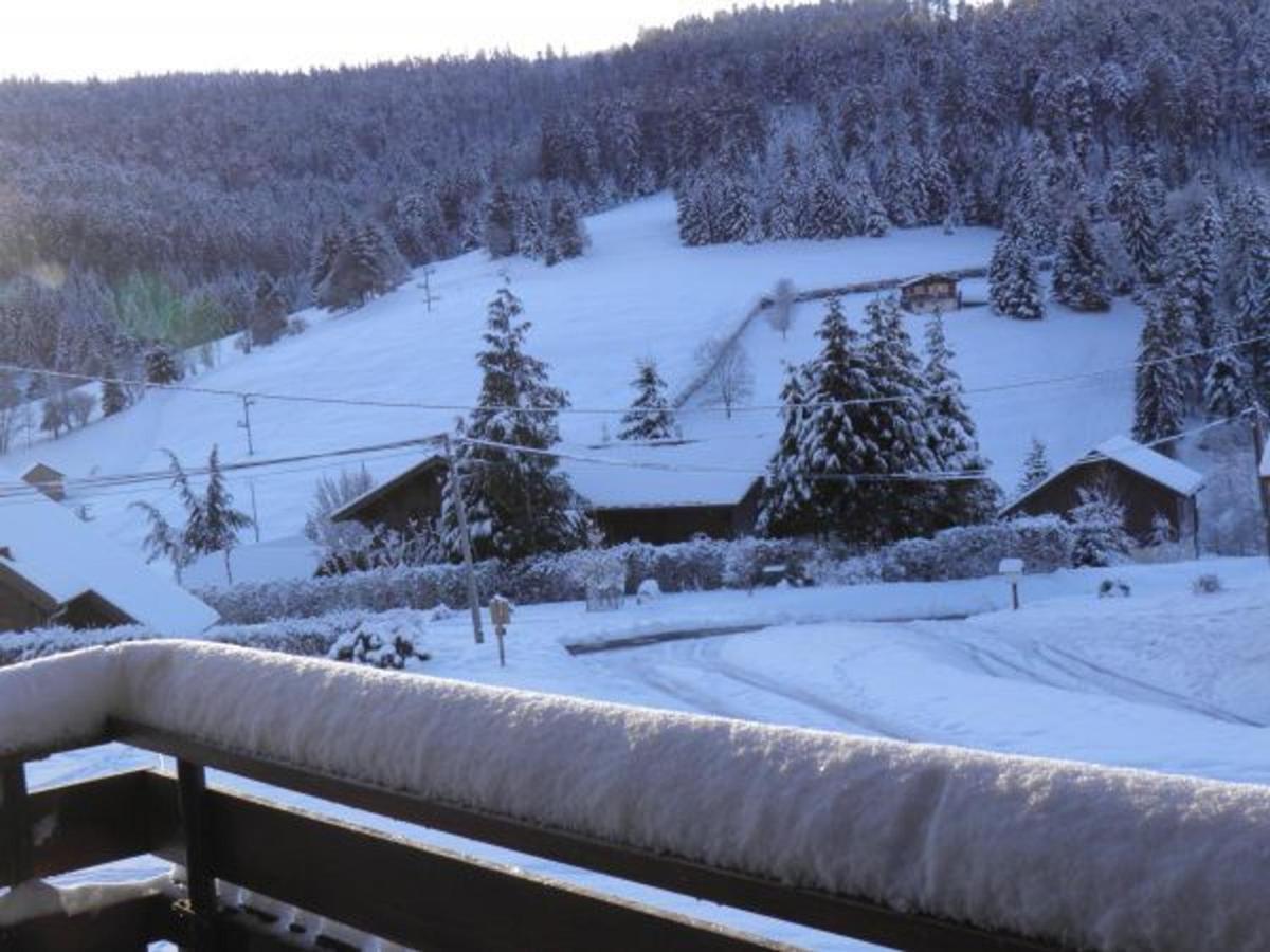 Chalet Renove Proche Du Valtin - Ideal Pour Famille, Randonnees Et Ski, Wifi, Luges Fournies - Fr-1-589-150 Ban-sur-Meurthe-Clefcy Экстерьер фото